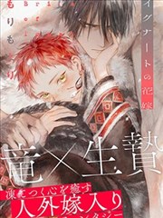 热门动漫同人小说合集
